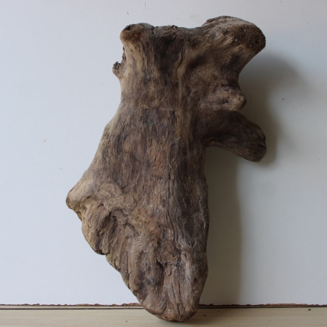 Treibholz Schwemmholz Driftwood 1 XL  Skulptur  48 cm 