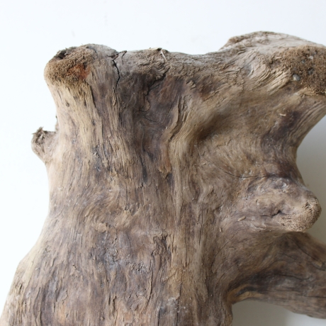 Treibholz Schwemmholz Driftwood 1 XL  Skulptur  48 cm 