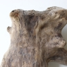 Treibholz Schwemmholz Driftwood 1 XL  Skulptur  48 cm 
