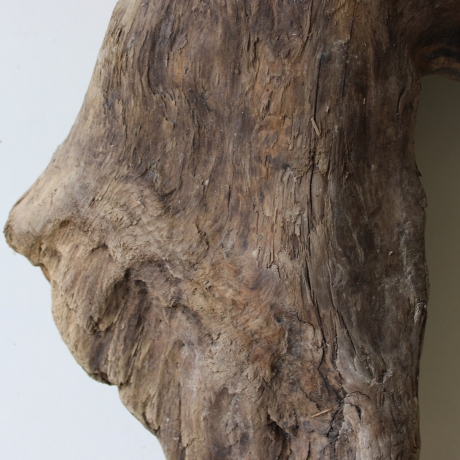 Treibholz Schwemmholz Driftwood 1 XL  Skulptur  48 cm 