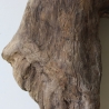 Treibholz Schwemmholz Driftwood 1 XL  Skulptur  48 cm 