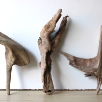 Treibholz Schwemmholz Driftwood 3 Hölzer Terrarium 29-39 cm *E9*