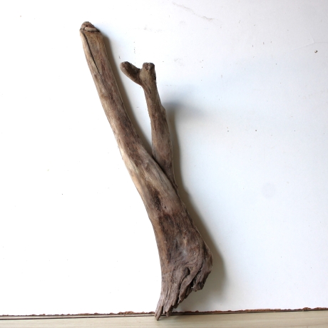 Treibholz Schwemmholz Driftwood 1  Wurzel  Terrarium 57 cm 