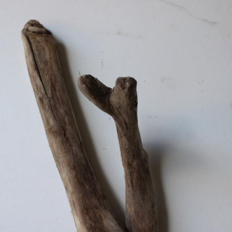 Treibholz Schwemmholz Driftwood 1  Wurzel  Terrarium 57 cm 
