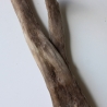 Treibholz Schwemmholz Driftwood 1  Wurzel  Terrarium 57 cm 