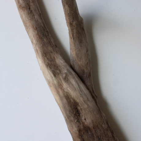 Treibholz Schwemmholz Driftwood 1  Wurzel  Terrarium 57 cm 