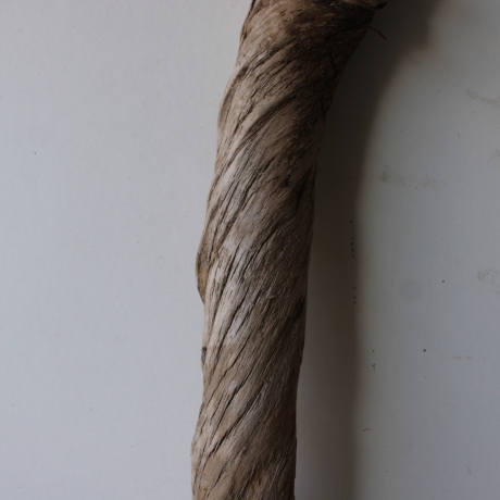 Treibholz Schwemmholz Driftwood 1 XL  Ast  Garderobe 71 cm 