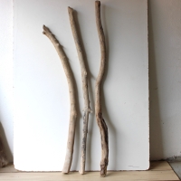 Treibholz Schwemmholz Driftwood 3 XXL  Äste   109-125 cm 