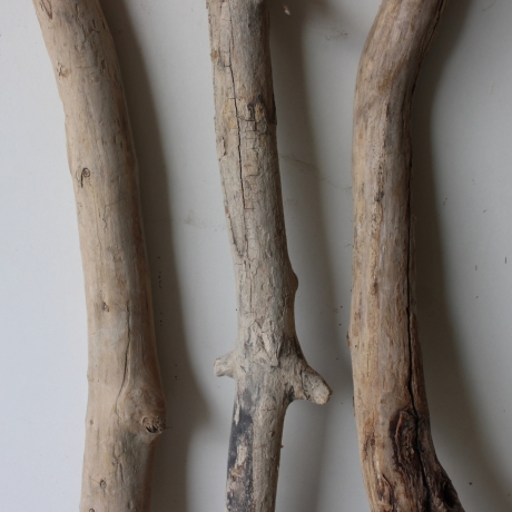 Treibholz Schwemmholz Driftwood 3 XXL  Äste   109-125 cm 