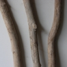 Treibholz Schwemmholz Driftwood 3 XXL  Äste   109-125 cm 