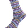 Pro Lana Bamboo Socks TWO, 4-fädige Sockenwolle, Fb. 1014