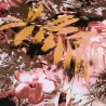 Stoff Viskose Jersey Blumen Blätter braun altrosa koralle ocker