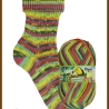Opal Regenwald 19, 6-fädige Sockenwolle, Farbe 11344