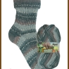 Opal Regenwald 19, 6-fädige Sockenwolle, Farbe 11346