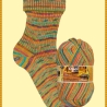 Opal Lieblingsplatz, 4-fädige Sockenwolle, Farbe 11461