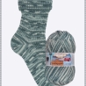 Opal Lieblingsplatz, 4-fädige Sockenwolle, Farbe 11465