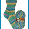 Opal Funky, 4-fädige Sockenwolle, Farbe 11580
