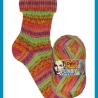 Opal Funky, 4-fädige Sockenwolle, Farbe 11585