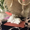 Rentier, Rentier-Baby, Pfoten, Tierliebe