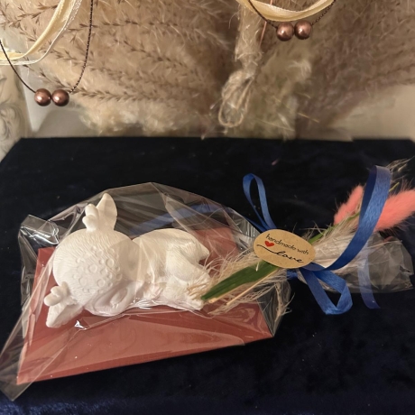 Rentier, Rentier-Baby, Pfoten, Tierliebe
