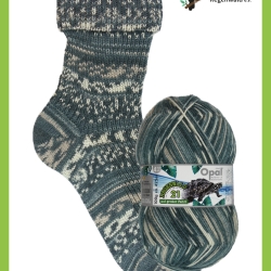 Opal Regenwald 21, 6-fädige Sockenwolle, Fb. 11614