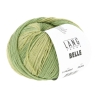 Lang Yarns BELLE Baumwollgarn – Sommer Strickgarn