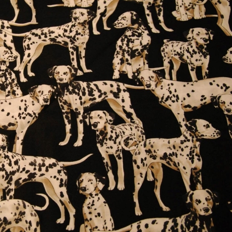 Leseknochen Hunde & Katzen versch. Motive