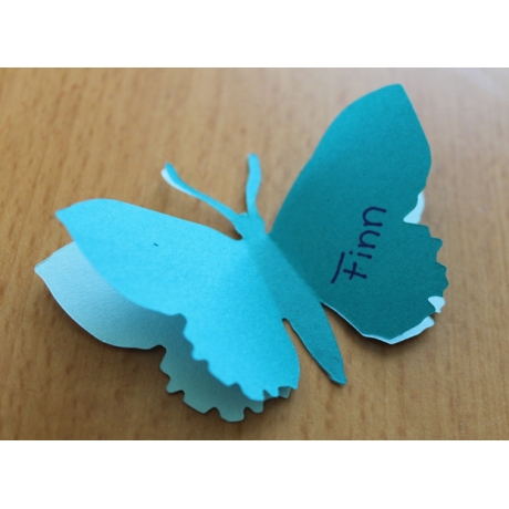 20 Schmetterlinge aus Papier