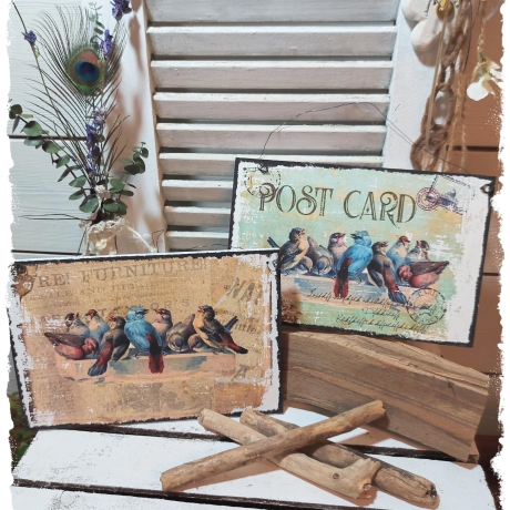 Holzschild-Shabby Postkarte Vogel