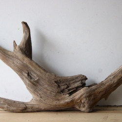 Treibholz Schwemmholz Driftwood 1 XL Wurzel Terrarium 31 cm hoch 