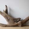 Treibholz Schwemmholz Driftwood 1 XL Wurzel Terrarium 31 cm hoch 