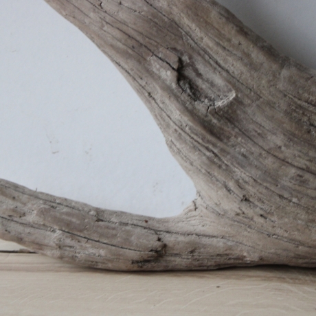 Treibholz Schwemmholz Driftwood 1 XL Wurzel Terrarium 31 cm hoch 