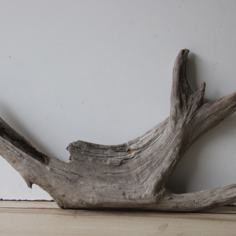 Treibholz Schwemmholz Driftwood 1 XL Wurzel Terrarium 31 cm hoch 