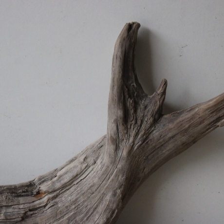 Treibholz Schwemmholz Driftwood 1 XL Wurzel Terrarium 31 cm hoch 