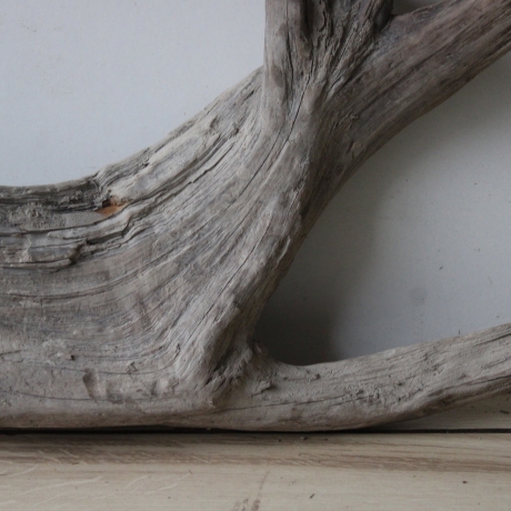 Treibholz Schwemmholz Driftwood 1 XL Wurzel Terrarium 31 cm hoch 