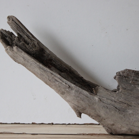 Treibholz Schwemmholz Driftwood 1 XL Wurzel Terrarium 31 cm hoch 