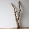 Treibholz Schwemmholz Driftwood 1 Wurzel Terrarium 55 cm 