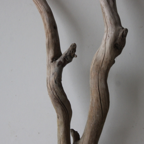 Treibholz Schwemmholz Driftwood 1 Wurzel Terrarium 55 cm 