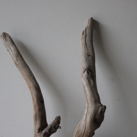 Treibholz Schwemmholz Driftwood 1 Wurzel Terrarium 55 cm 