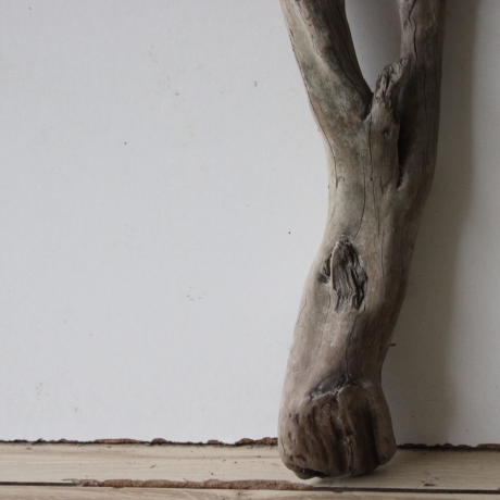 Treibholz Schwemmholz Driftwood 1 Wurzel Terrarium 55 cm 