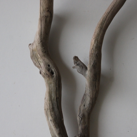 Treibholz Schwemmholz Driftwood 1 Wurzel Terrarium 55 cm 