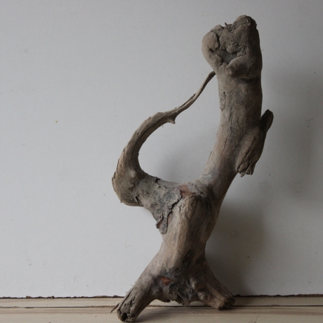 Treibholz Schwemmholz Driftwood 1  knorrige Wurzel  43 cm  