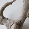 Treibholz Schwemmholz Driftwood 1  knorrige Wurzel  43 cm  