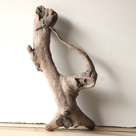 Treibholz Schwemmholz Driftwood 1  knorrige Wurzel  43 cm  