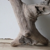 Treibholz Schwemmholz Driftwood 1  knorrige Wurzel  43 cm  