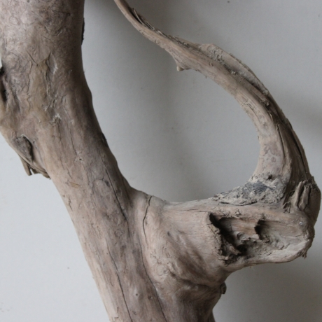 Treibholz Schwemmholz Driftwood 1  knorrige Wurzel  43 cm  