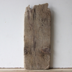 Treibholz Schwemmholz Driftwood  1  Brett Regal 38 cm 