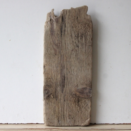 Treibholz Schwemmholz Driftwood  1  Brett Regal 38 cm 