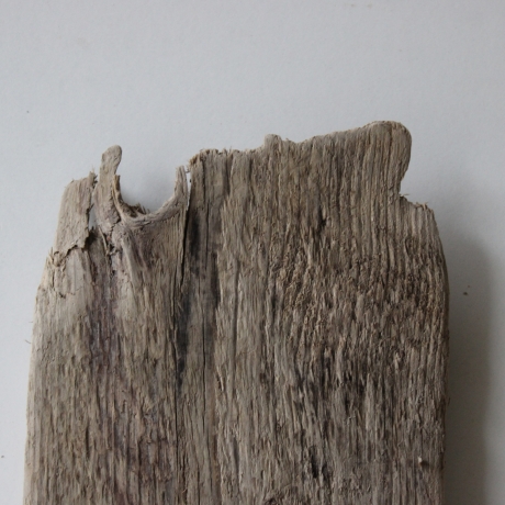 Treibholz Schwemmholz Driftwood  1  Brett Regal 38 cm 