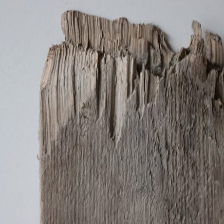 Treibholz Schwemmholz Driftwood  1  Brett Regal 38 cm 